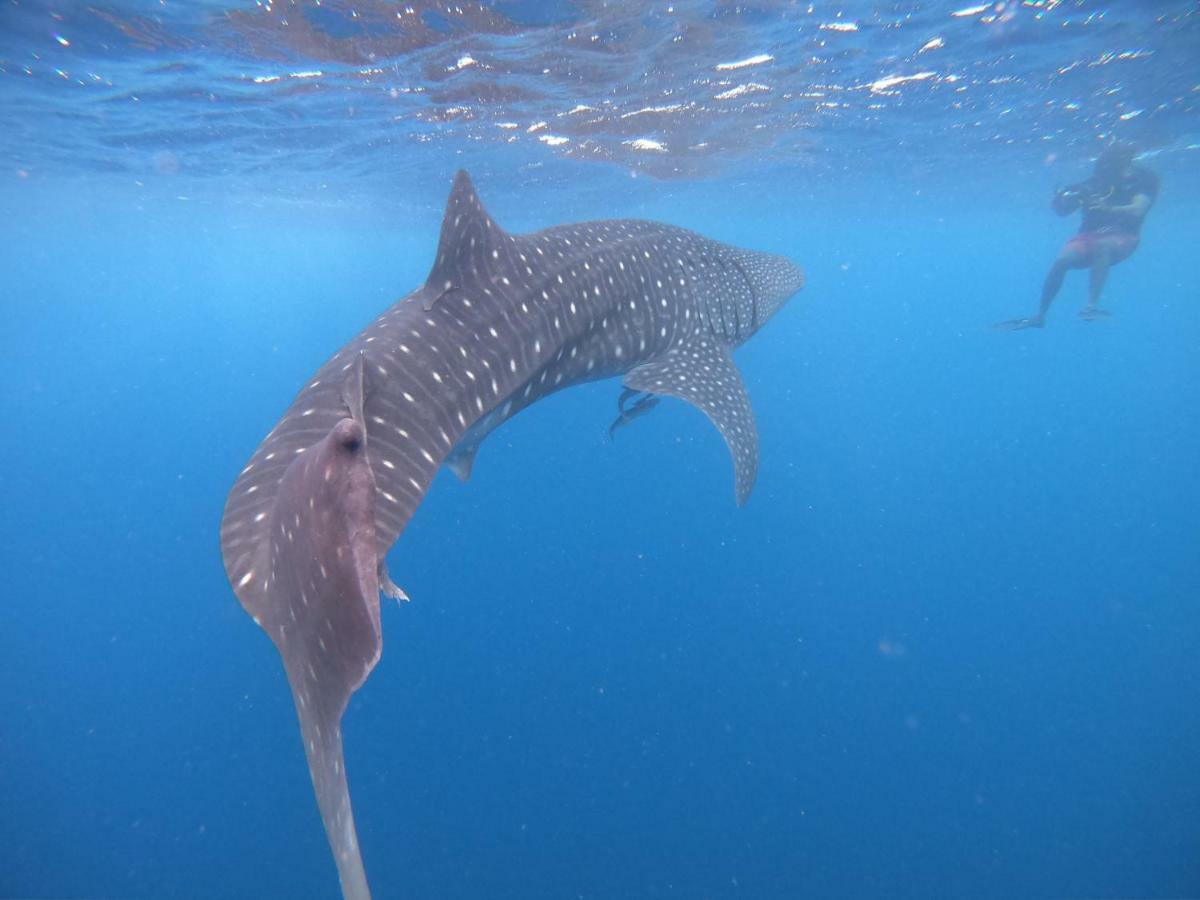 ホテル Hudhuvelimaldives Omadhoo エクステリア 写真