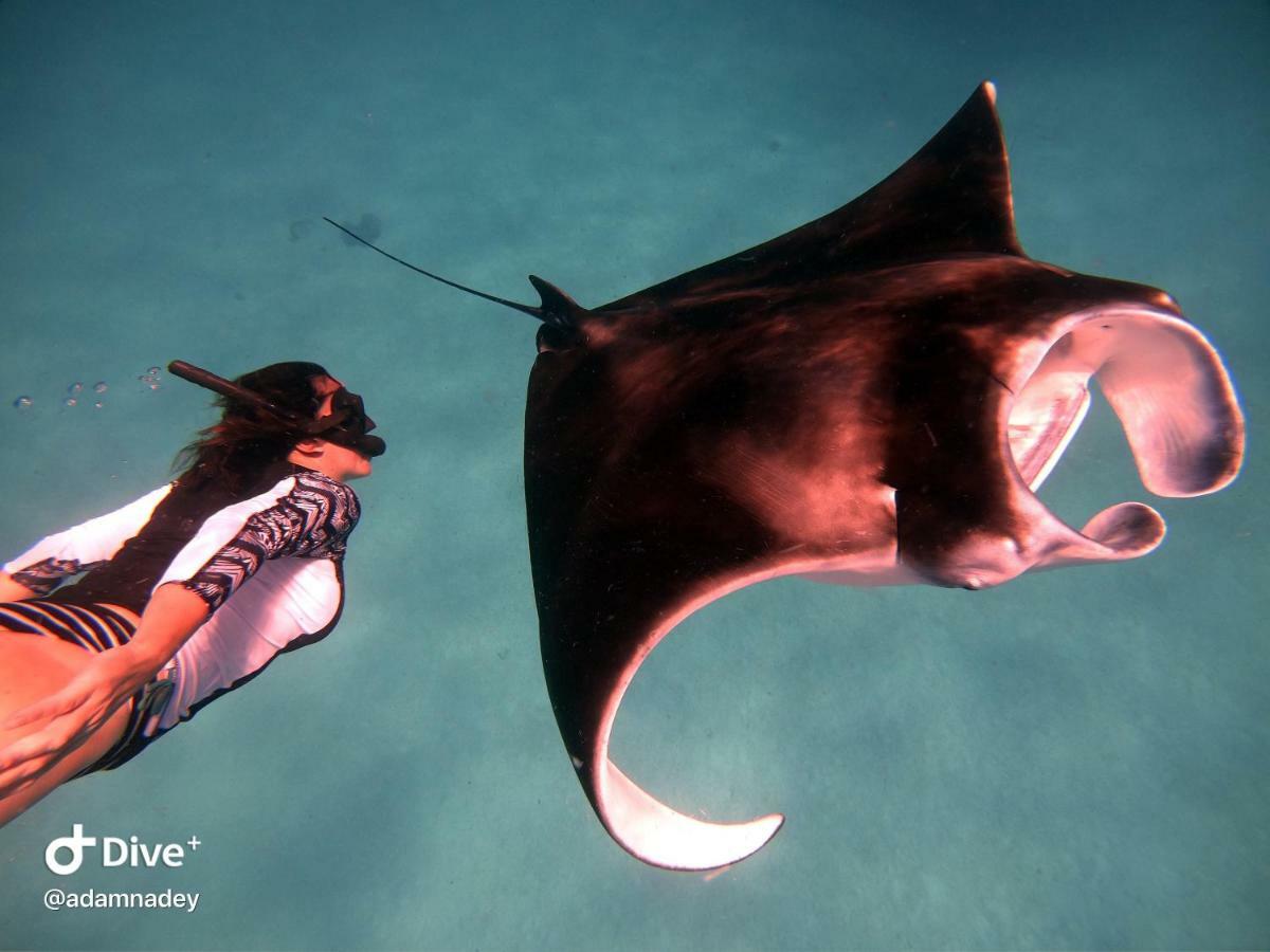 ホテル Hudhuvelimaldives Omadhoo エクステリア 写真